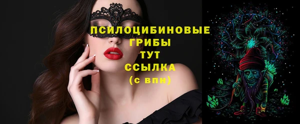 гашик Горно-Алтайск