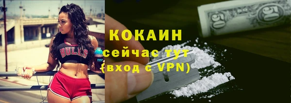 гашик Горно-Алтайск