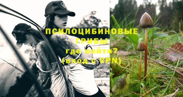 эйфоретик Горнозаводск