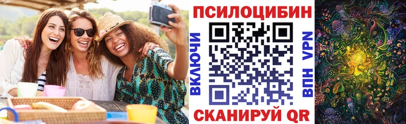 Псилоцибиновые грибы ЛСД  Купить закладки  Магадан 